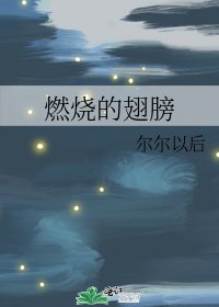 燃烧的翅膀
